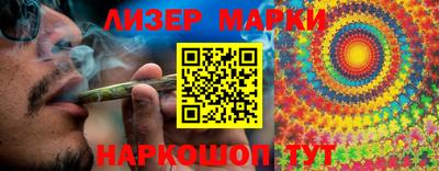 индика Камышлов